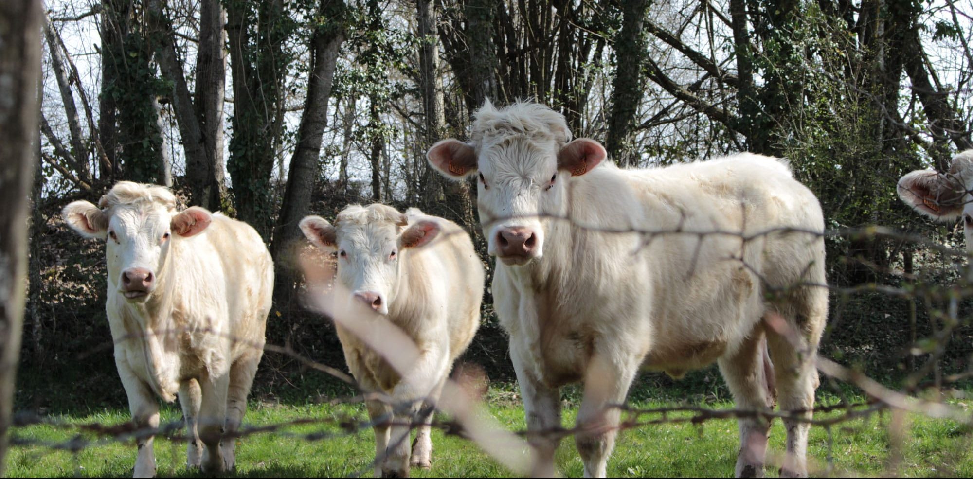 vie agricole bièvre est